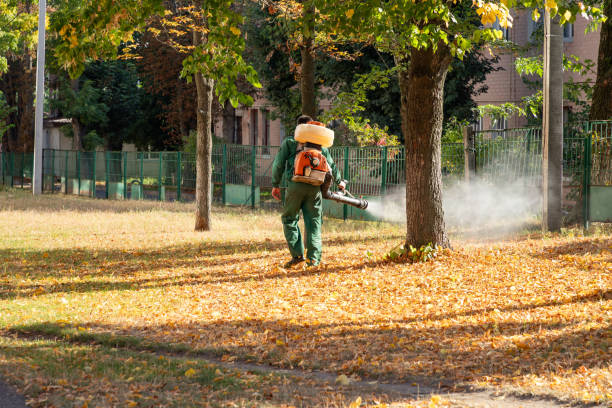 Bird Control in Wheeling, WV